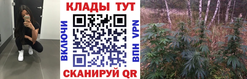 Магазин наркотиков Бабаево Кокаин Канабис А ПВП Гашиш Мефедрон