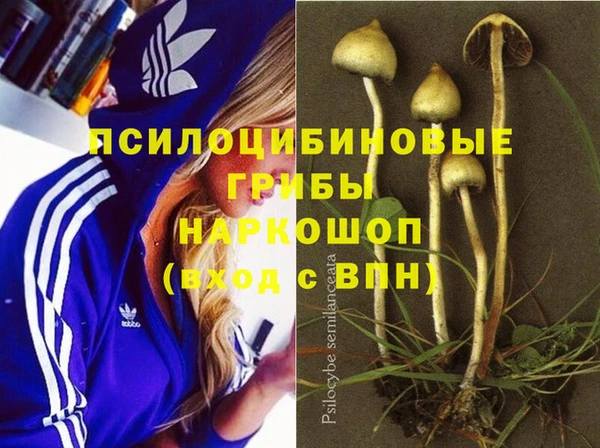 прущая мука Армянск