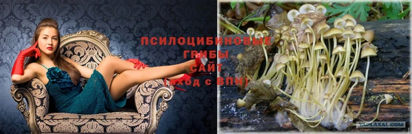 герыч Арсеньев