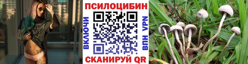 Псилоцибиновые грибы MAGIC MUSHROOMS  Бабаево 