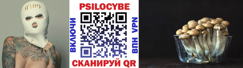 Псилоцибиновые грибы прущие грибы Бабаево